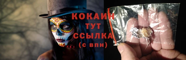 прущие грибы Покачи