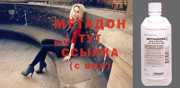 прущие грибы Покачи