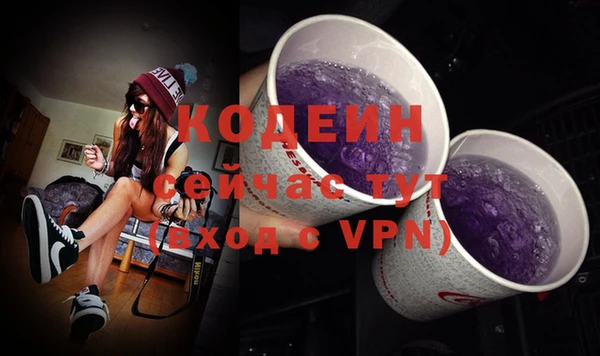 ECSTASY Покров