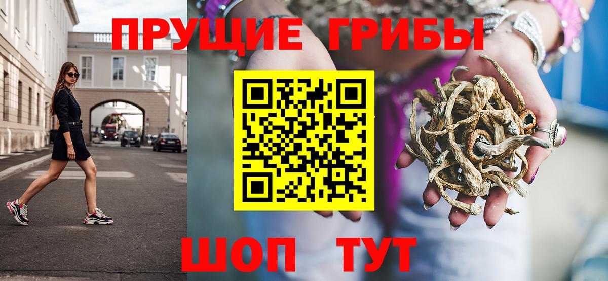 Тихорецк  хочу   Вход с VPN  Псилоцибиновые грибы MAGIC MUSHROOMS 